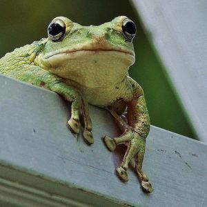 Meet your Posher, Stephan